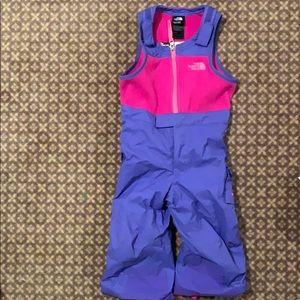 The North Face Bib Snowpants